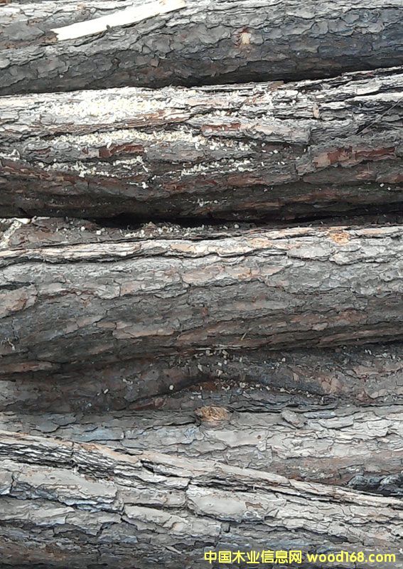 ��ľ��Ԕ����B