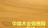 �Z��鱵�Ԕ����B