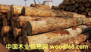 �����mݗ���ɵ�Ԕ����B