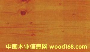 ���������S�ɵ�Ԕ����B