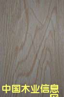 ��ľ��Ԕ����B