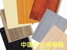 �������B(t��i)���Ԕ��(x��)��B