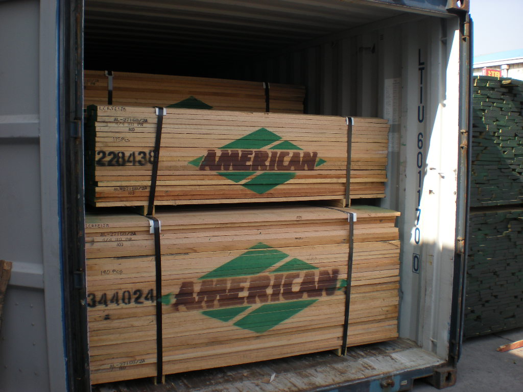 �t��-�������|�ĵ�Ԕ����B