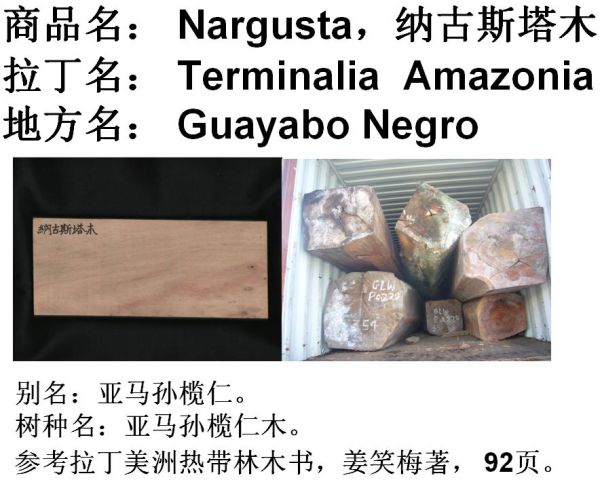 ���R�O����ľ��Ԕ����B