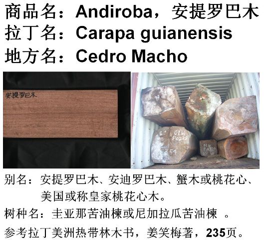 �灆�ǿ���鬵�Ԕ����B