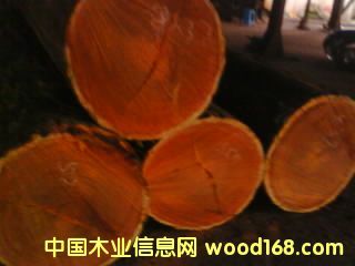 �ʹP��Ԕ����B