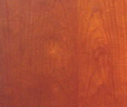 ľ���25��Ԕ����B