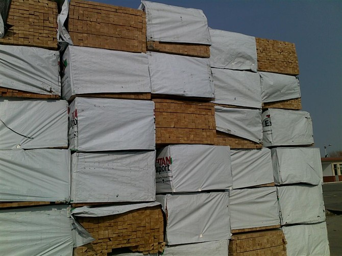 �����ɵ�Ԕ����B