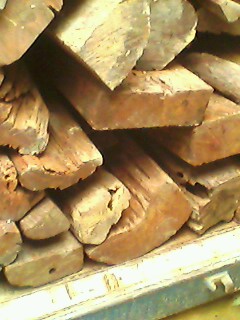 ��t��֦ ��ֺ�S̴��Ԕ��(x��)��B