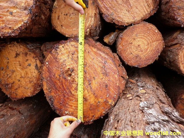 ����͢����ɵ�Ԕ��(x��)��B