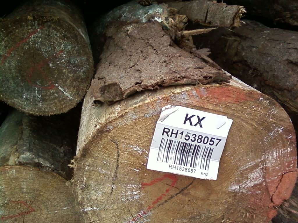 ݗ����ԭľ��ľƬ��Ԕ��(x��)��B