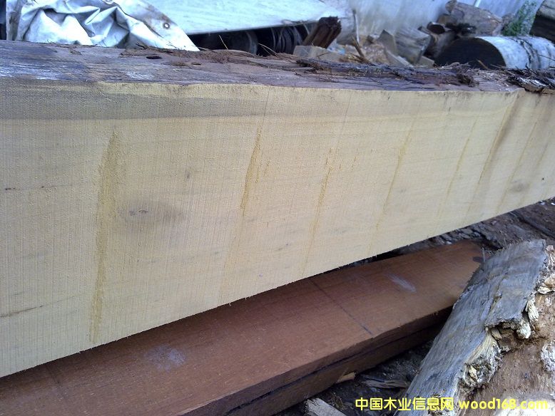 �s��ľ��Ԕ����B