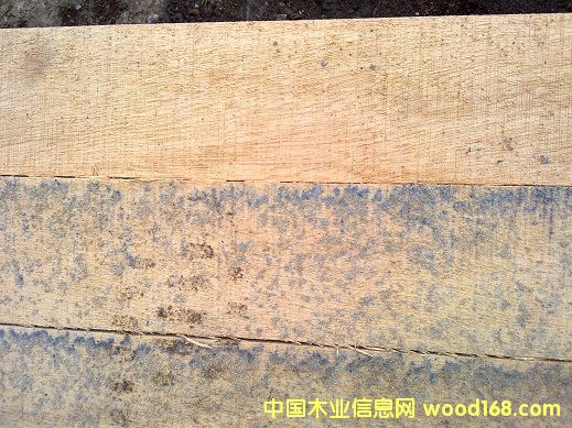 ��ľ��ͤ�ϵ�Ԕ����B