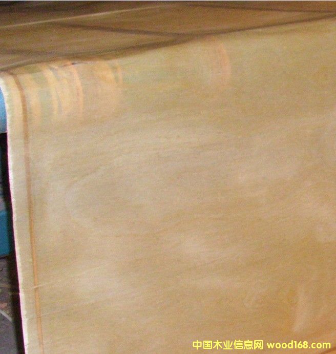 ���|�z��ľ�ΰ��Ԕ����B