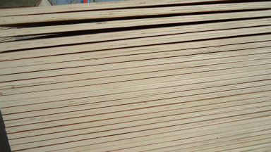 ����ģ���Ԕ����B