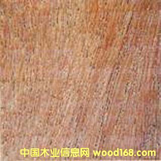 ƽ������lì������ľ��