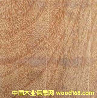 ����ᶹ���S���P̴��