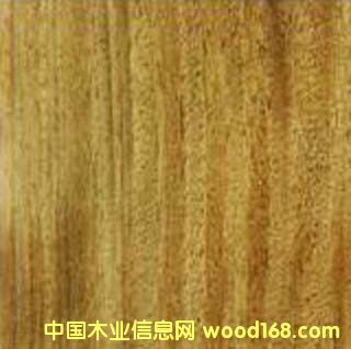 ���p���궹�������P̴��