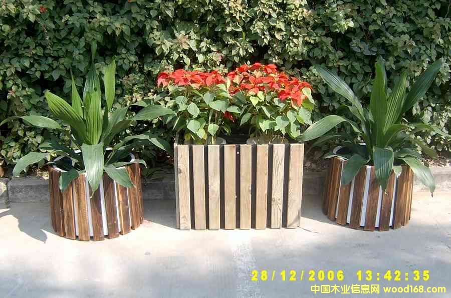 ����ľ�����Ԕ����B