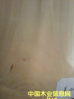 ��ľɽ�y��Ԕ����B