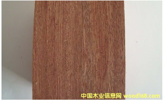�c(di��n)���鿴�R��(l��i)��������ľ�Ŵ�DƬ