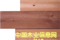 �c(di��n)���鿴�����tѩ�ɷŴ�DƬ