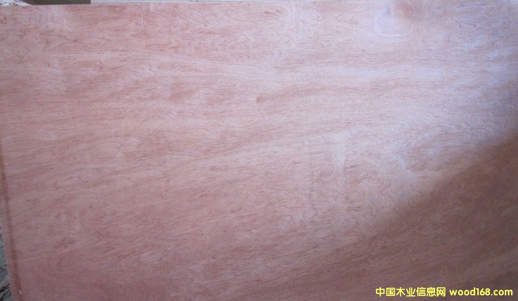 ���b����ľ�z�ϰ壬�p�N���ǹ�