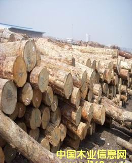 ݗ����ԭľ��Ԕ����B