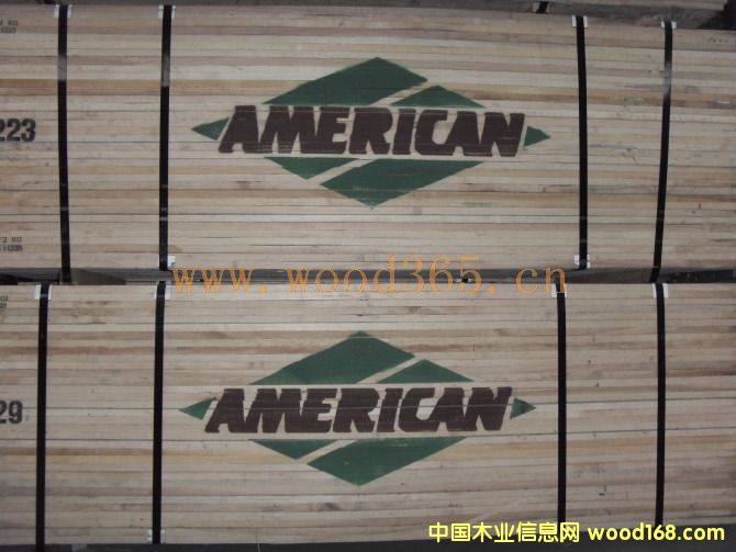 AMERICAN��Ԕ��(x��)��B