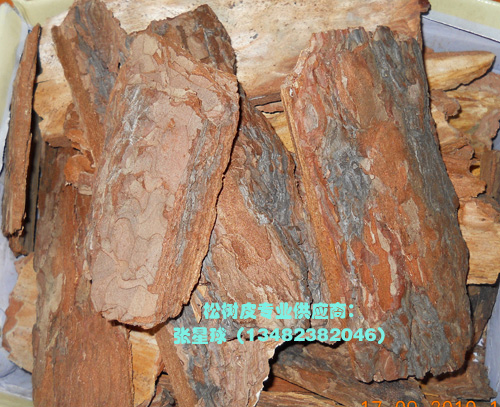 �c���鿴�ɘ�Ƥ����V�ϷŴ�DƬ