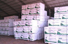 ���ô��Fɼ��Ԕ����B