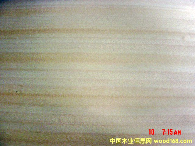 CHENCHEN��Ԕ��(x��)��B