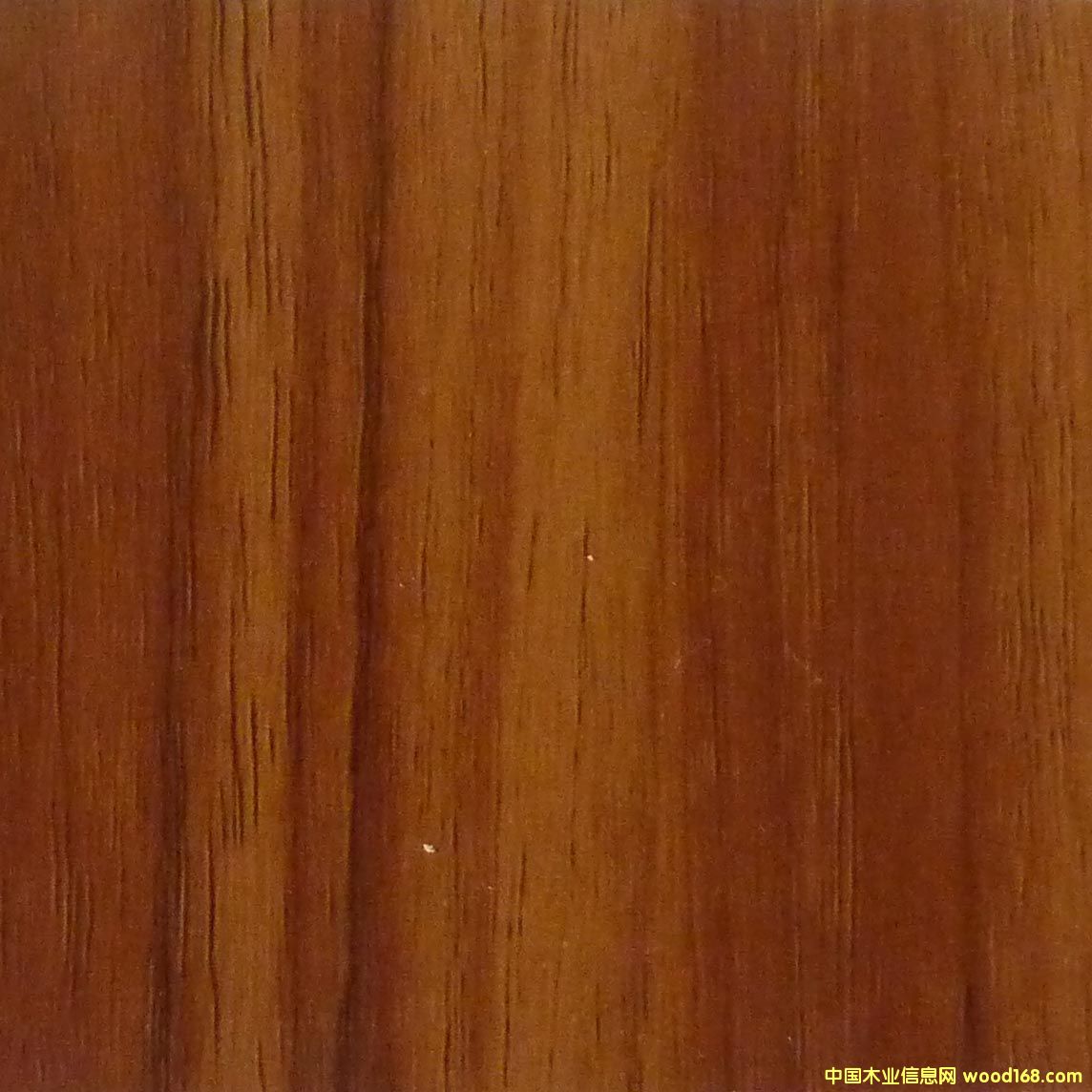 �z�ϰ��Ԕ��(x��)��B