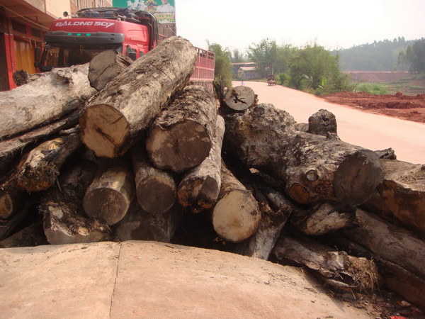 ��ľԭľ��Ԕ����B