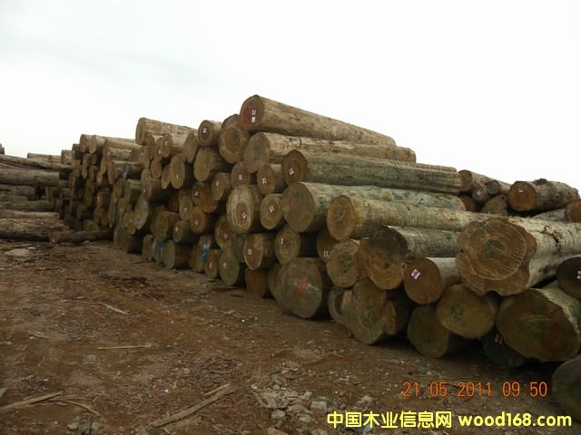 ݗ���ɵ�Ԕ��(x��)��B