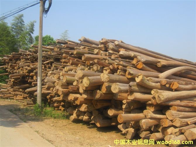 ɼԭľ��Ԕ����B