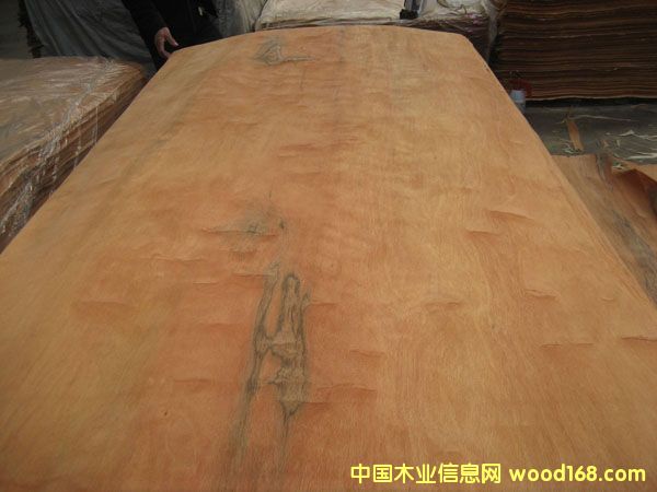 �ڂ��҆ΰ��Ԕ����B