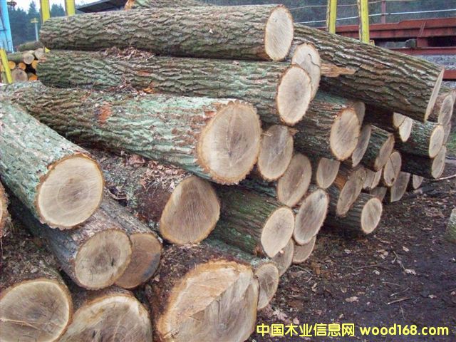 �|�W��ľ-AB����Ԕ����B