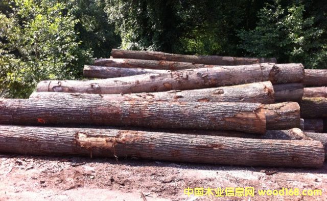 �|�W��ľ-BC����Ԕ����B