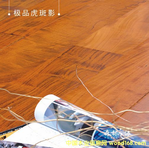 ɭ��֮�ØOƷ����Ӱ��Ԕ��(x��)��B