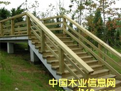 �o�ڵ�Ԕ����B