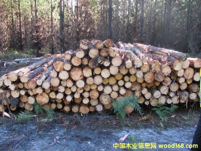 �Ĵ�����ݗ����ԭľ��Ԕ����B