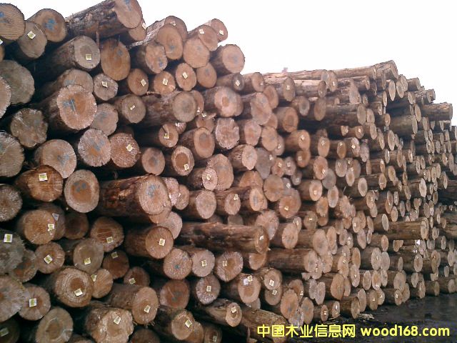 �����mݗ���ɵ�Ԕ����B