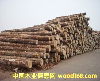 �����mݗ���ɵ�Ԕ����B