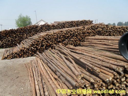 ɼľ�U����ľ�U