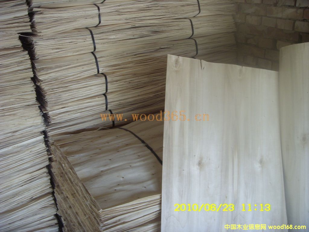 ��ľƤ�ӵ�Ԕ����B