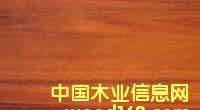 �c(di��n)���鿴����ľ�Ŵ�DƬ