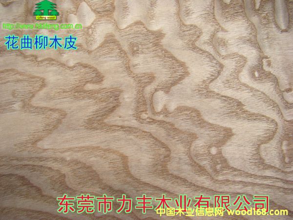 ������ľƤ��Ԕ����B