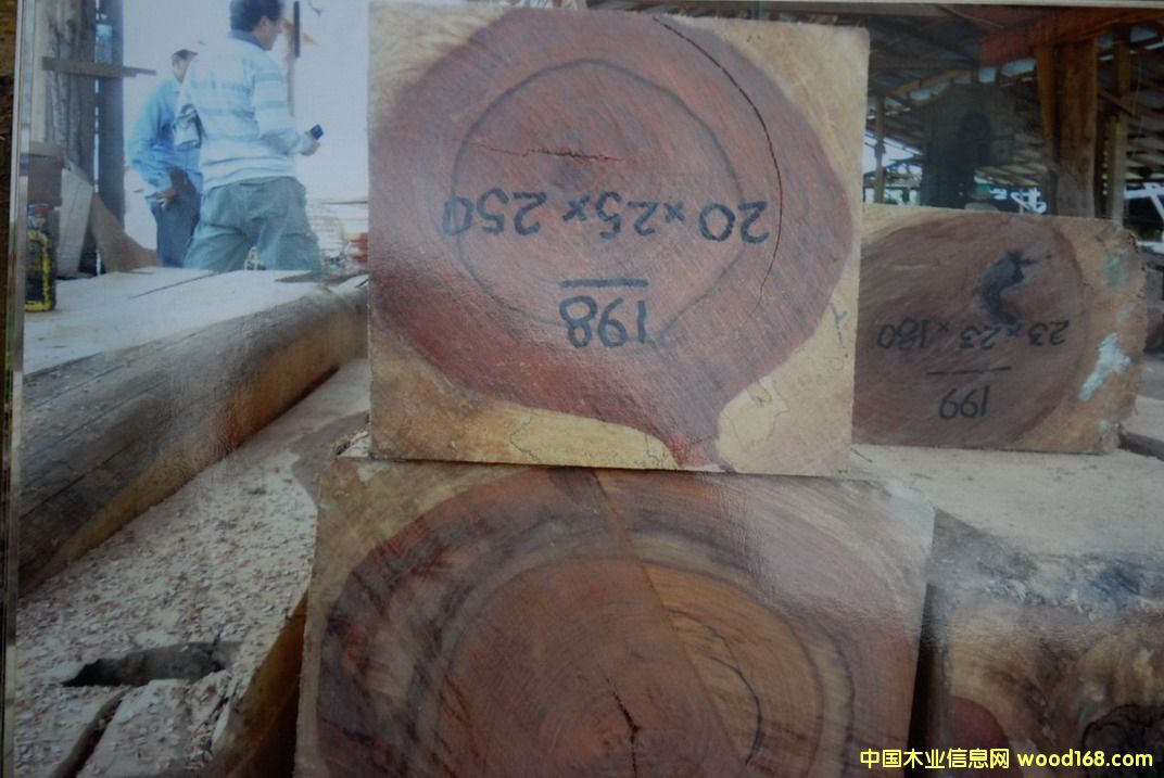 ��ֺ�S̴��Ԕ����B