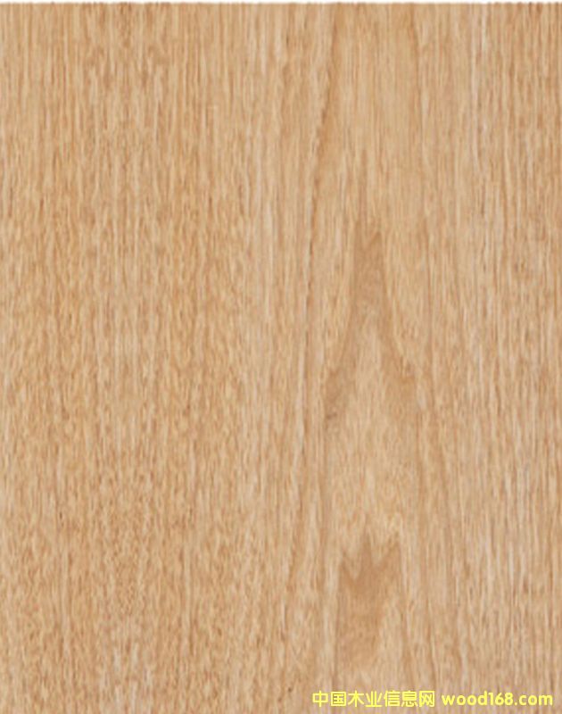 ����ľƤ��Ԕ��(x��)��B